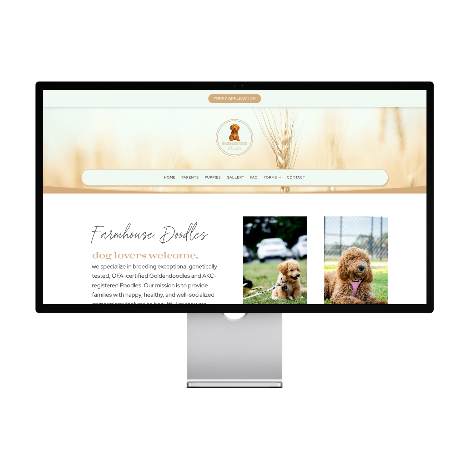 Farmhouse Doodles Template — preview 1 of 4
